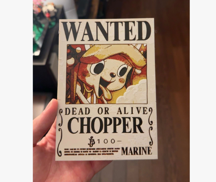 One Piece Wanted Posters - Hueforge